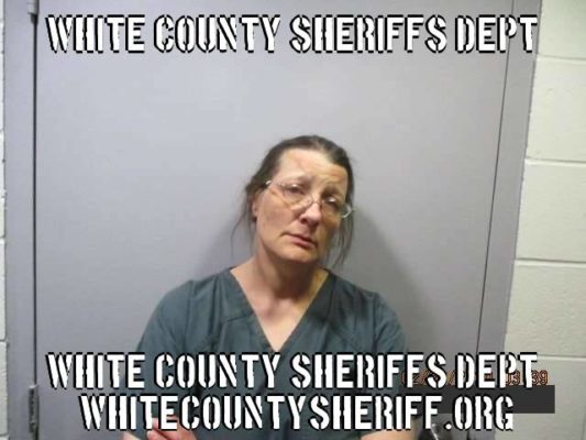 Mill Shoals Woman Arrested for Domestic Battery Friday Morning