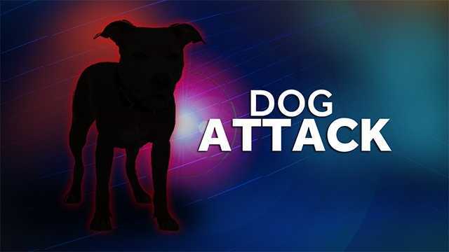 Neighbor Injured; Her Dog Killed in Attack by Carmi Resident’s Three Dogs