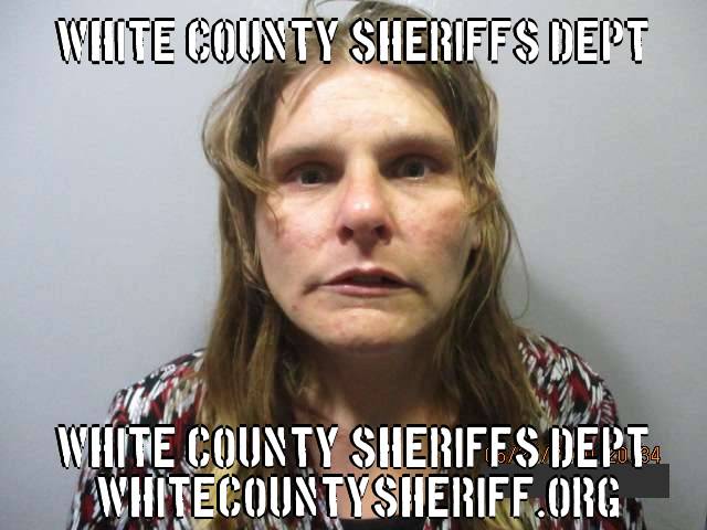 Murphy Arrested on Charges of Criminal Damage to Property and Criminal Trespass to a Residence