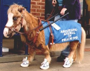 Neigh Votes Could Require Translation at next Tuesday’s Carmi Council Meeting