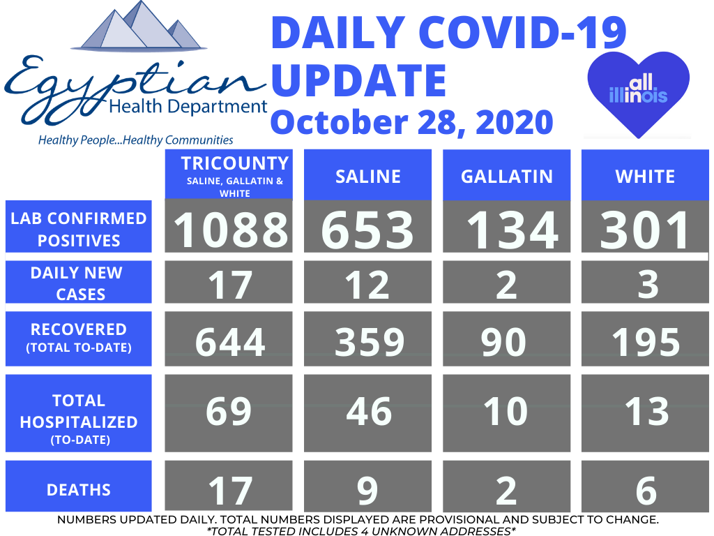 Egyptian Health Department Reports 17 New COVID-19 Cases Wednesday