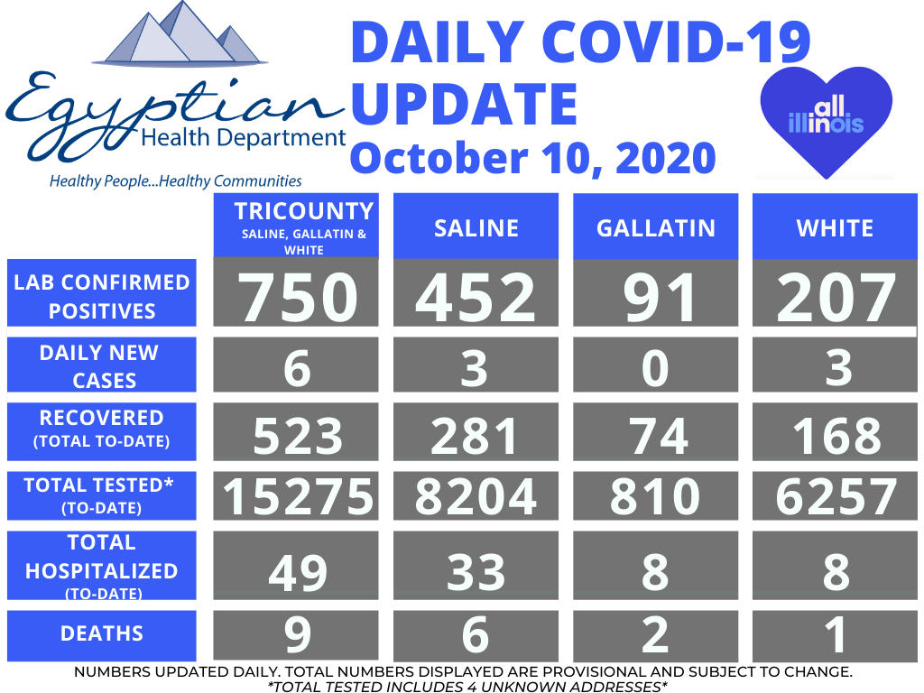 Egyptian Health Department Reports Six New Cases of COVID-19 Saturday