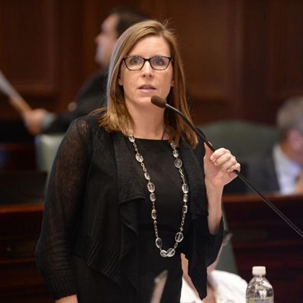 State Rep. Ann Williams Joins Race for Illinois Speaker WRULFM