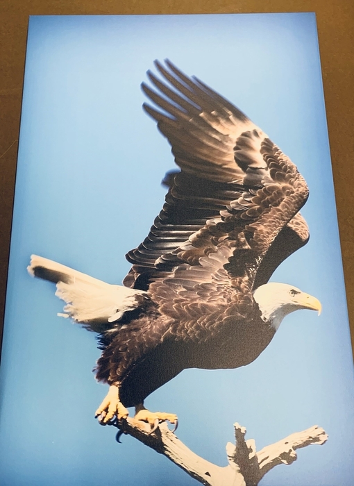 Regional Photographer Exhibit Opens Feb. 2 at SIC’s Hise Museum