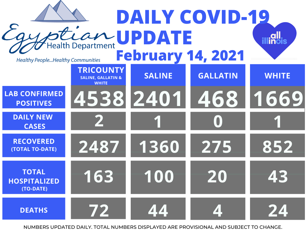 Egyptian Health Department Reports 12 New COVID-19 Cases Over the Weekend