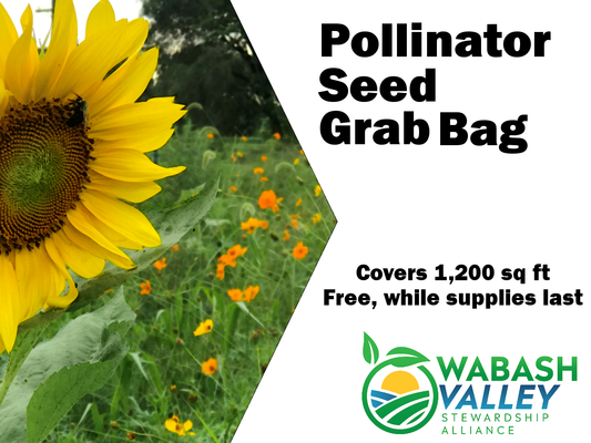 Stewardship Alliance Group Offering Free Pollinator Seed