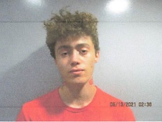 Police Arrest 19 year old; Carmi Woman reports Theft