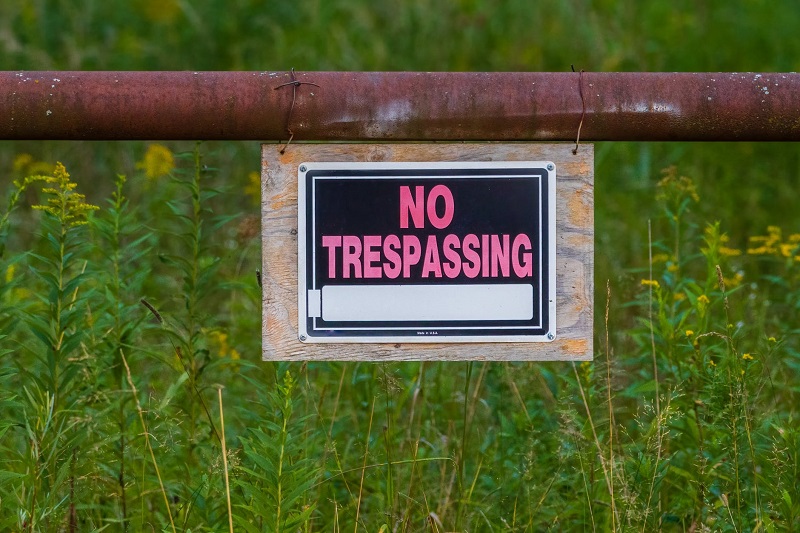 Homeowner Catches Trespassers Thursday Afternoon