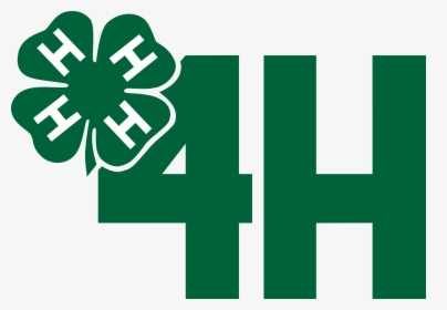 Seventeen White County 4-Hers Awarded A Project Grant