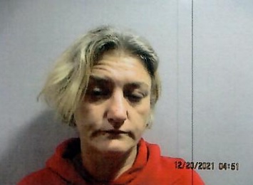 Holloman, Travelstead Picked up on Warrants