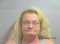 Johnston Arrested for Driving without License and Unlawful Display of License Plate Monday