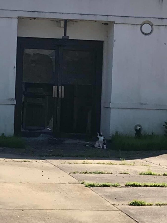 Carmi Hospital Broken Into; Theft Reported Thursday