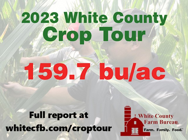 White County Crop Tour Finds Low Summer Rainfall Hurt Yield Potential