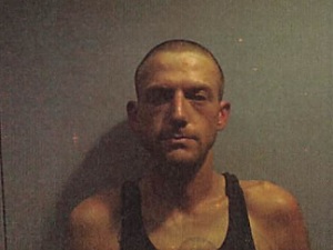 Grayville Man Faces Fourteen Charges