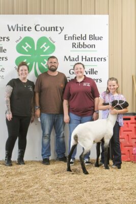 Blue Ribbon Sheep Brinley Gholson Jordan Funeral Group
