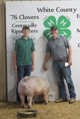 Blue Ribbon Swine Cooper Fuqua Hamilton Co. Coal