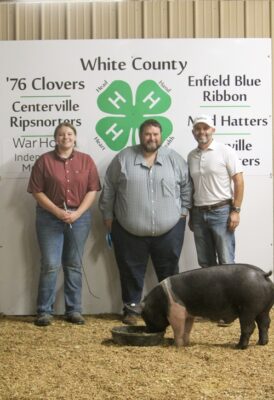 Blue Ribbon Swine Kenley Black Country Financial Crop Insurance
