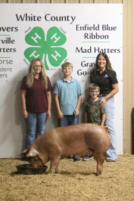 Blue Ribbon Swine Lanson Sutton First Bank