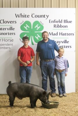 Blue Ribbon Swine Leo Sutton Banterra Bank