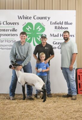Blue Ribbon Sheep Reece Gholson Agri Gold Setter Seeds