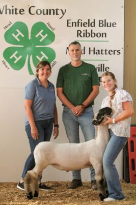 Reserve Grand Champion Wether Sydney Stallings First National Bank of Allendale