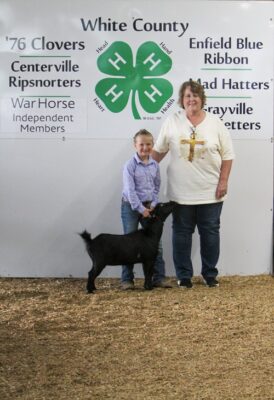 Grand Champion Mini Goat Doe Wren Morrison Johnson Truck Sales